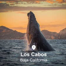 Los Cabos Transportation for Groups Los Cabos Transportation for Groups