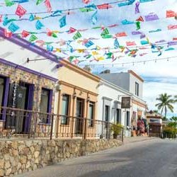 Group Transportation in San José del Cabo