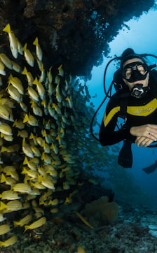 Water Sports and Marina Excursions